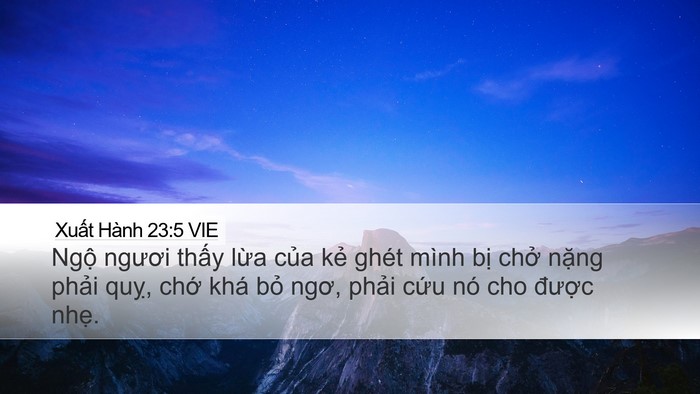 Xuất Hành 23:5 VIE Bible Verse Image