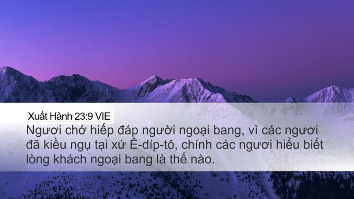 Xuất Hành 23:9 VIE Bible Verse Image