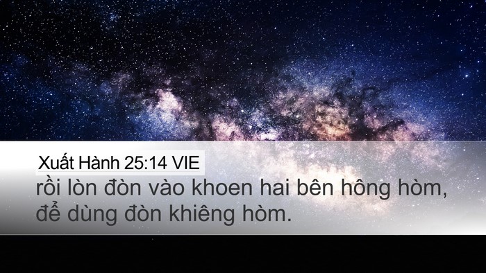 Xuất Hành 25:14 VIE Bible Verse Image