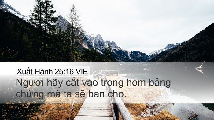 Xuất Hành 25:16 VIE Bible Verse Image