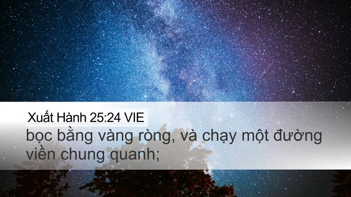 Xuất Hành 25:24 VIE Bible Verse Image