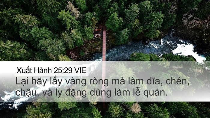 Xuất Hành 25:29 VIE Bible Verse Image