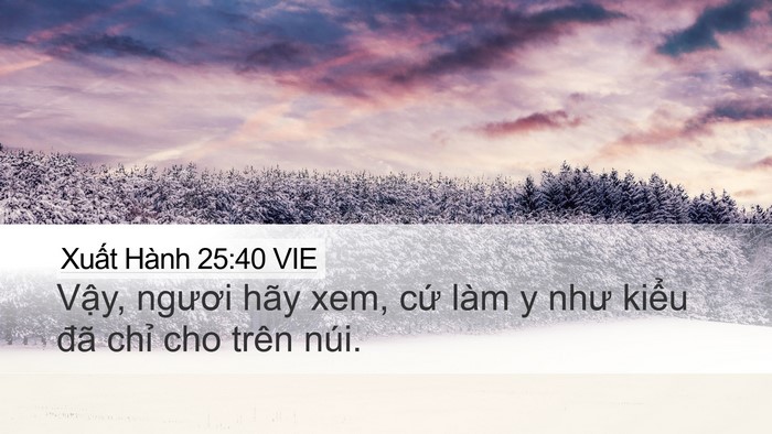 Xuất Hành 25:40 VIE Bible Verse Image