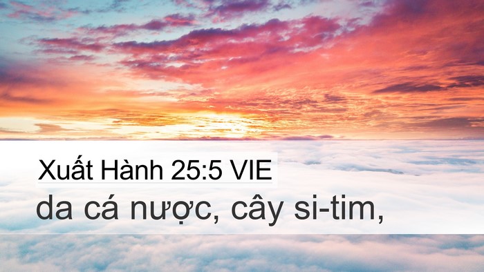 Xuất Hành 25:5 VIE Bible Verse Image