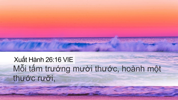Xuất Hành 26:16 VIE Desktop Wallpaper - Mỗi tấm trướng mười thước, hoành - Desktop Bible Verse Wallpaper