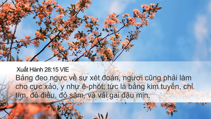 Xuất Hành 28:15 VIE Bible Verse Image