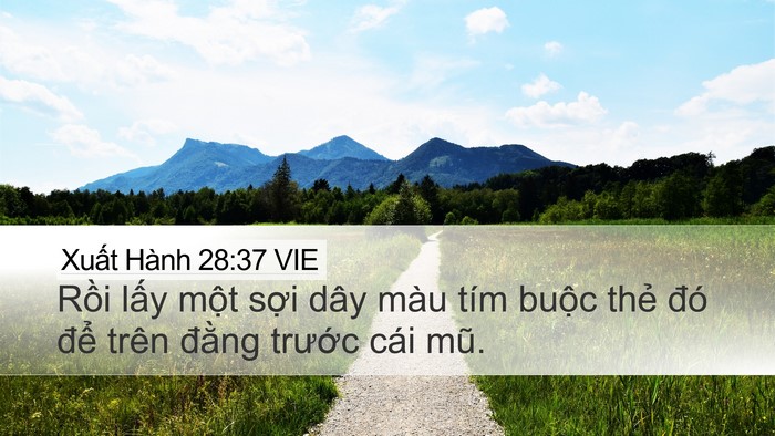 Xuất Hành 28:37 VIE Bible Verse Image