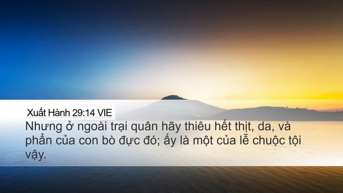Xuất Hành 29:14 VIE Bible Verse Image