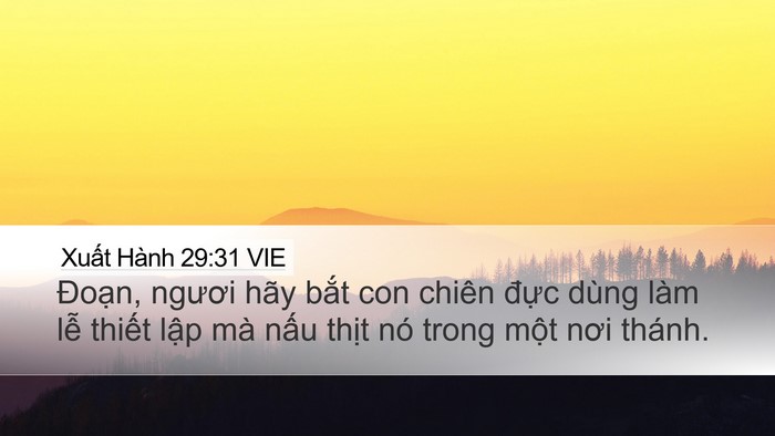 Xuất Hành 29:31 VIE Bible Verse Image