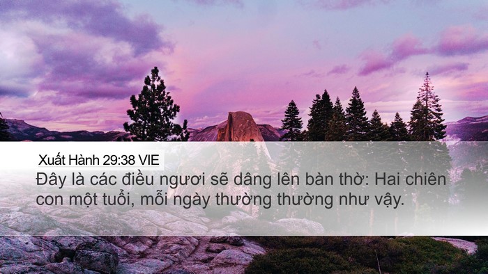 Xuất Hành 29:38 VIE Bible Verse Image