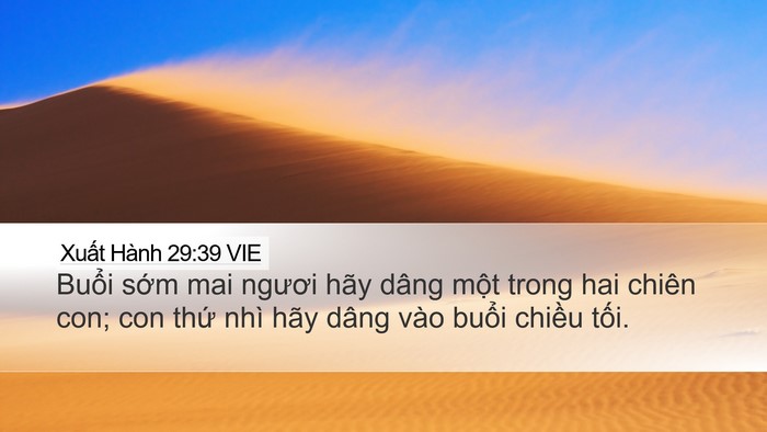 Xuất Hành 29:39 VIE Bible Verse Image