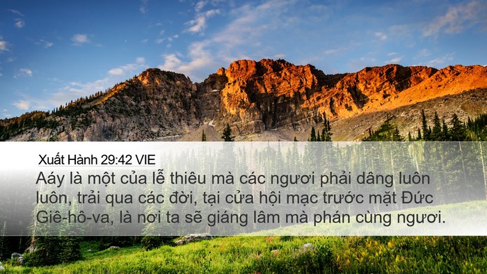 Xuất Hành 29:42 VIE Bible Verse Image