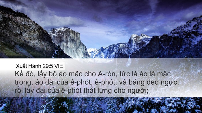 Xuất Hành 29:5 VIE Bible Verse Image