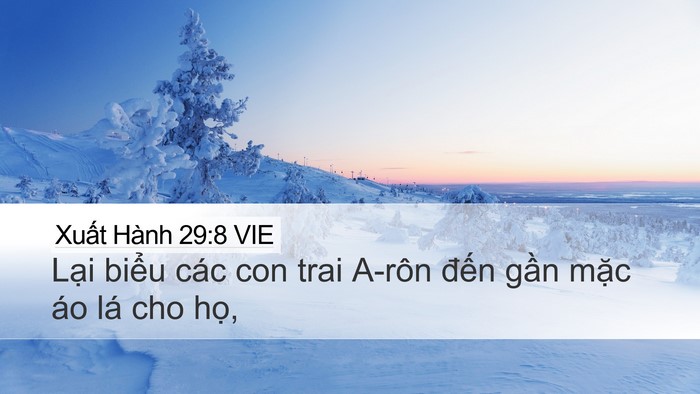 Xuất Hành 29:8 VIE Bible Verse Image