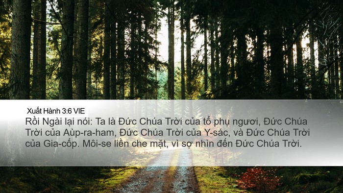 Xuất Hành 3:6 VIE Bible Verse Image