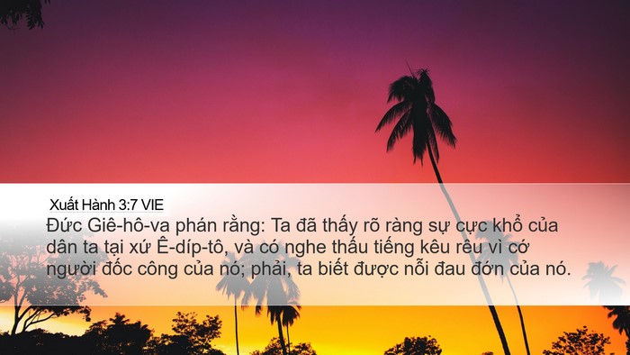 Xuất Hành 3:7 VIE Bible Verse Image