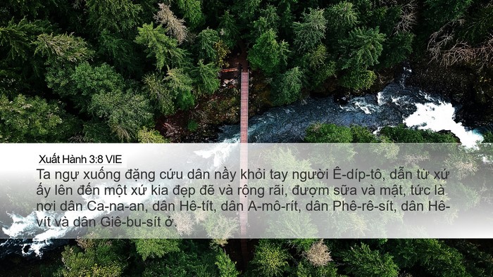 Xuất Hành 3:8 VIE Bible Verse Image