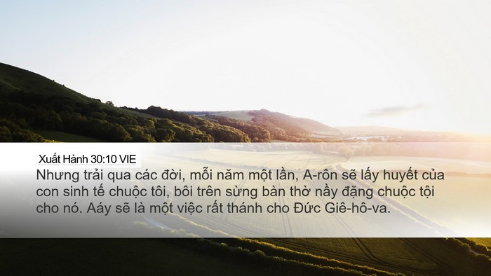 Xuất Hành 30:10 VIE Bible Verse Image