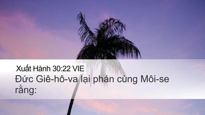 Xuất Hành 30:22 VIE Desktop Wallpaper - Đức Giê-hô-va lại phán cùng Môi-se - Desktop Bible Verse Wallpaper