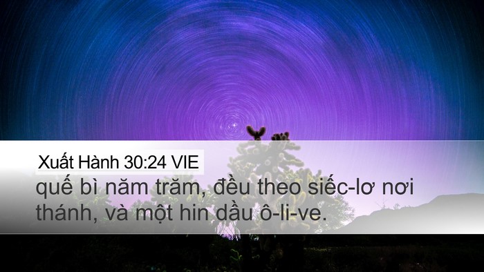 Xuất Hành 30:24 VIE Bible Verse Image