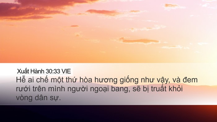 Xuất Hành 30:33 VIE Bible Verse Image