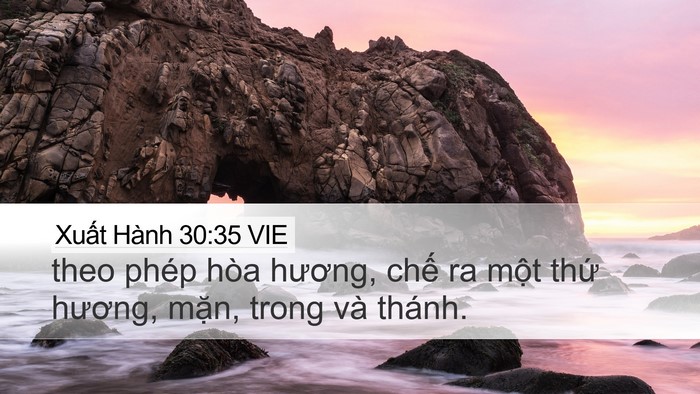 Xuất Hành 30:35 VIE Bible Verse Image
