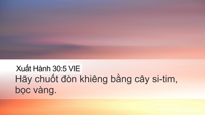 Xuất Hành 30:5 VIE Bible Verse Image