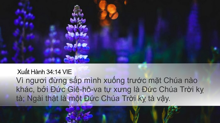 Xuất Hành 34:14 VIE Bible Verse Image