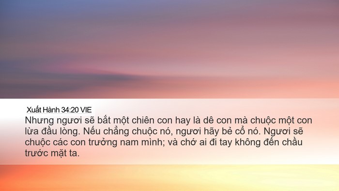 Xuất Hành 34:20 VIE Bible Verse Image