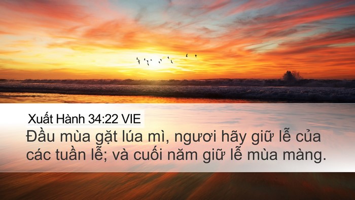 Xuất Hành 34:22 VIE Bible Verse Image
