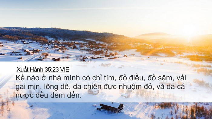 Xuất Hành 35:23 VIE Bible Verse Image