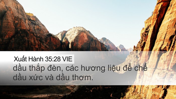Xuất Hành 35:28 VIE Desktop Wallpaper - dầu thắp đèn, các hương liệu để - Desktop Bible Verse Wallpaper