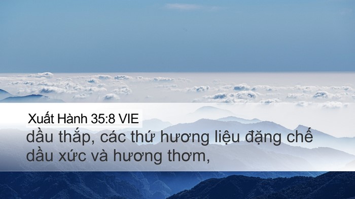 Xuất Hành 35:8 VIE Bible Verse Image