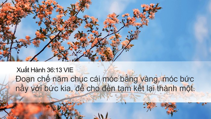 Xuất Hành 36:13 VIE Bible Verse Image