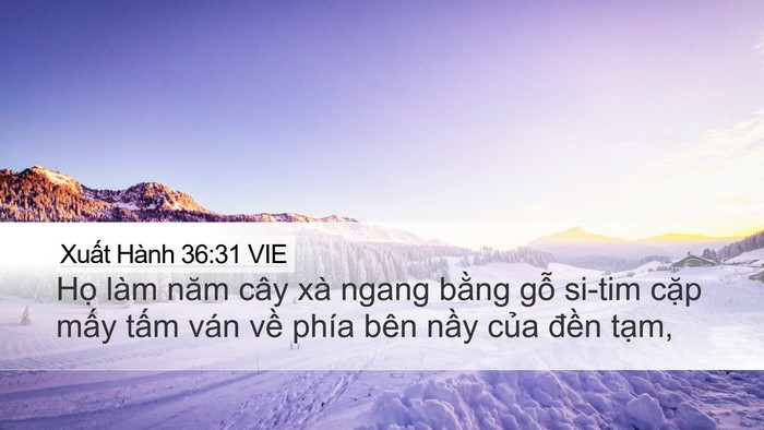 Xuất Hành 36:31 VIE Bible Verse Image