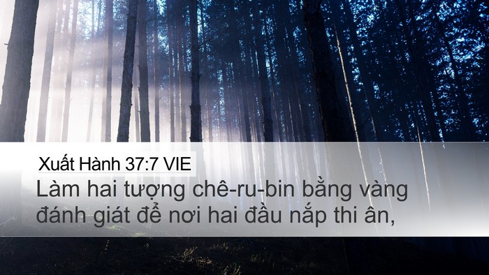 Xuất Hành 37:7 VIE Bible Verse Image