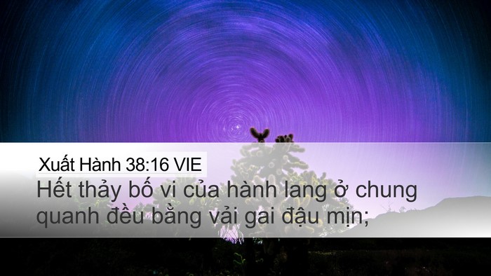 Xuất Hành 38:16 VIE Desktop Wallpaper - Hết thảy bố vi của hành lang ở chung - Desktop Bible Verse Wallpaper