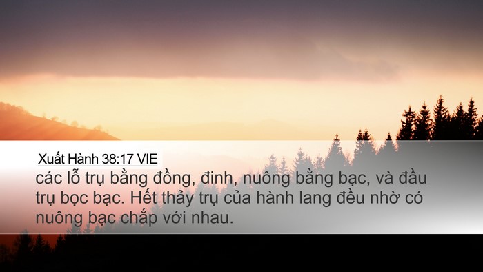 Xuất Hành 38:17 VIE Bible Verse Image