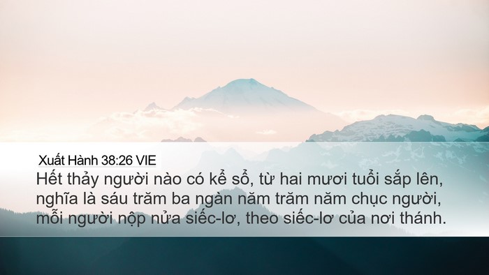Xuất Hành 38:26 VIE Bible Verse Image