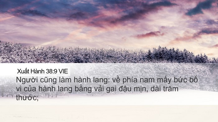 Xuất Hành 38:9 VIE Bible Verse Image