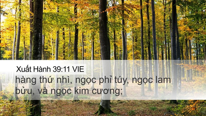 Xuất Hành 39:11 VIE Bible Verse Image