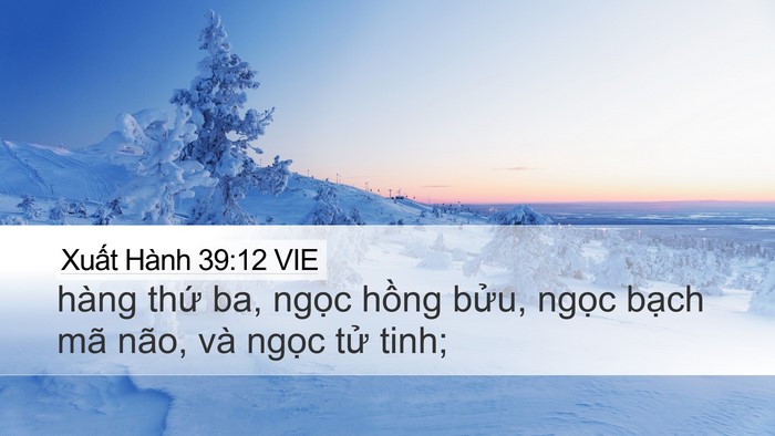 Xuất Hành 39:12 VIE Desktop Wallpaper - hàng thứ ba, ngọc hồng bửu, ngọc - Desktop Bible Verse Wallpaper