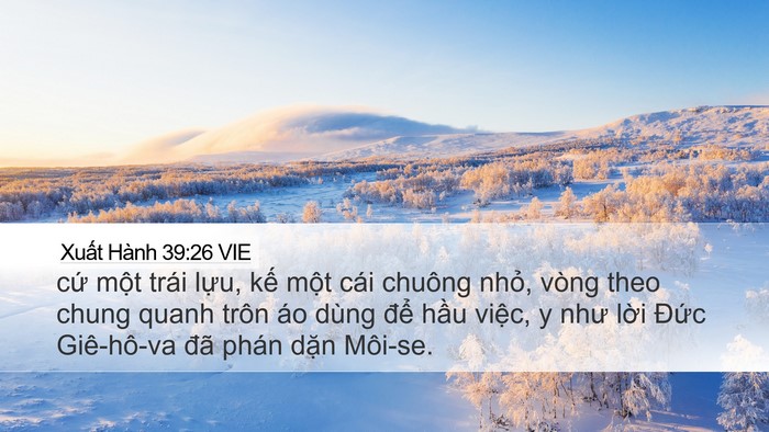 Xuất Hành 39:26 VIE Bible Verse Image