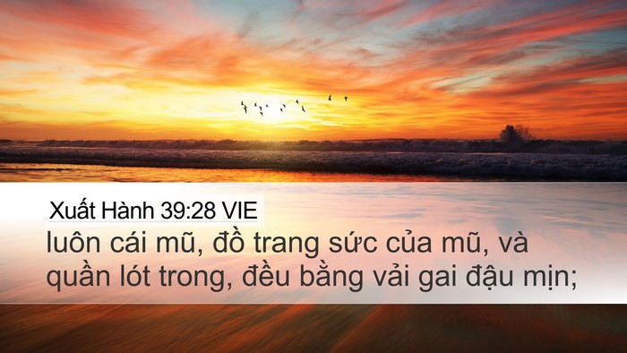 Xuất Hành 39:28 VIE Bible Verse Image
