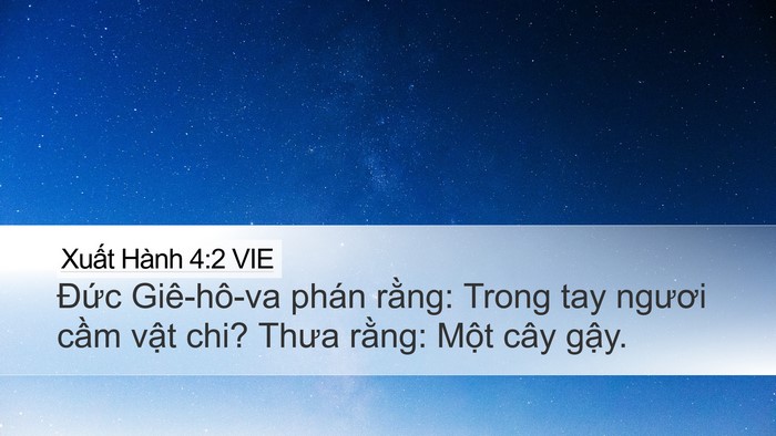Xuất Hành 4:2 VIE Bible Verse Image