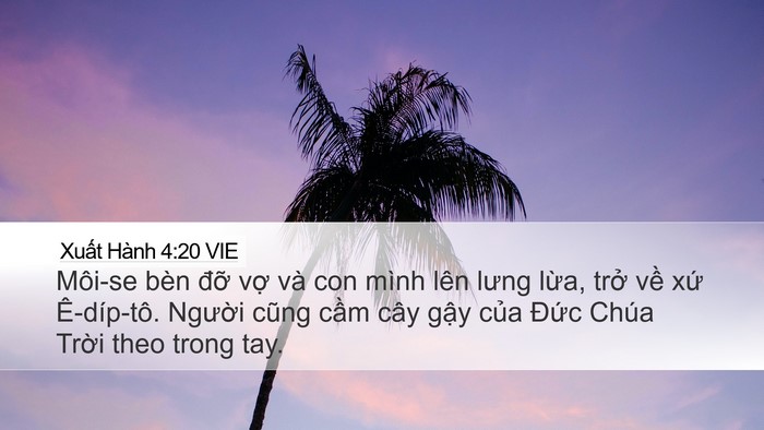 Xuất Hành 4:20 VIE Bible Verse Image
