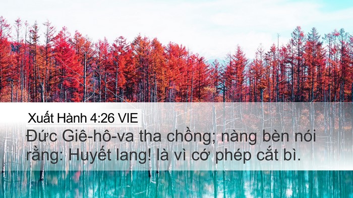 Xuất Hành 4:26 VIE Desktop Wallpaper - Đức Giê-hô-va tha chồng; nàng bèn nói - Desktop Bible Verse Wallpaper
