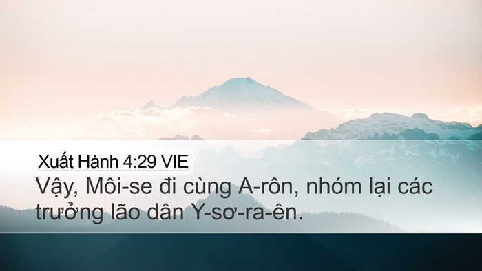 Xuất Hành 4:29 VIE Bible Verse Image