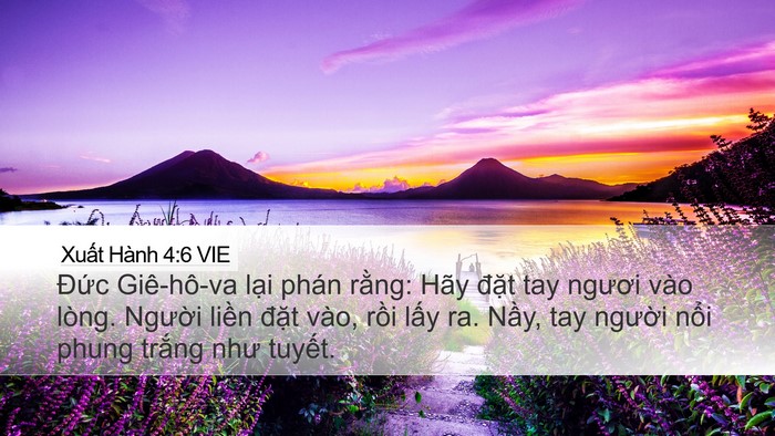 Xuất Hành 4:6 VIE Bible Verse Image