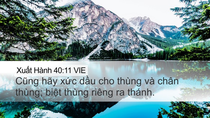 Xuất Hành 40:11 VIE Bible Verse Image